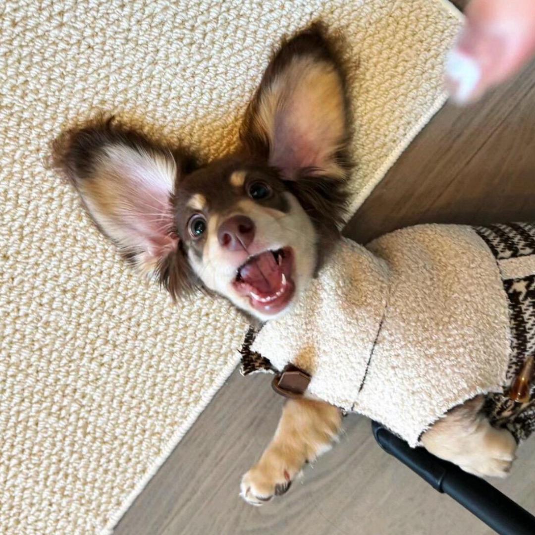 我让世界充满爱