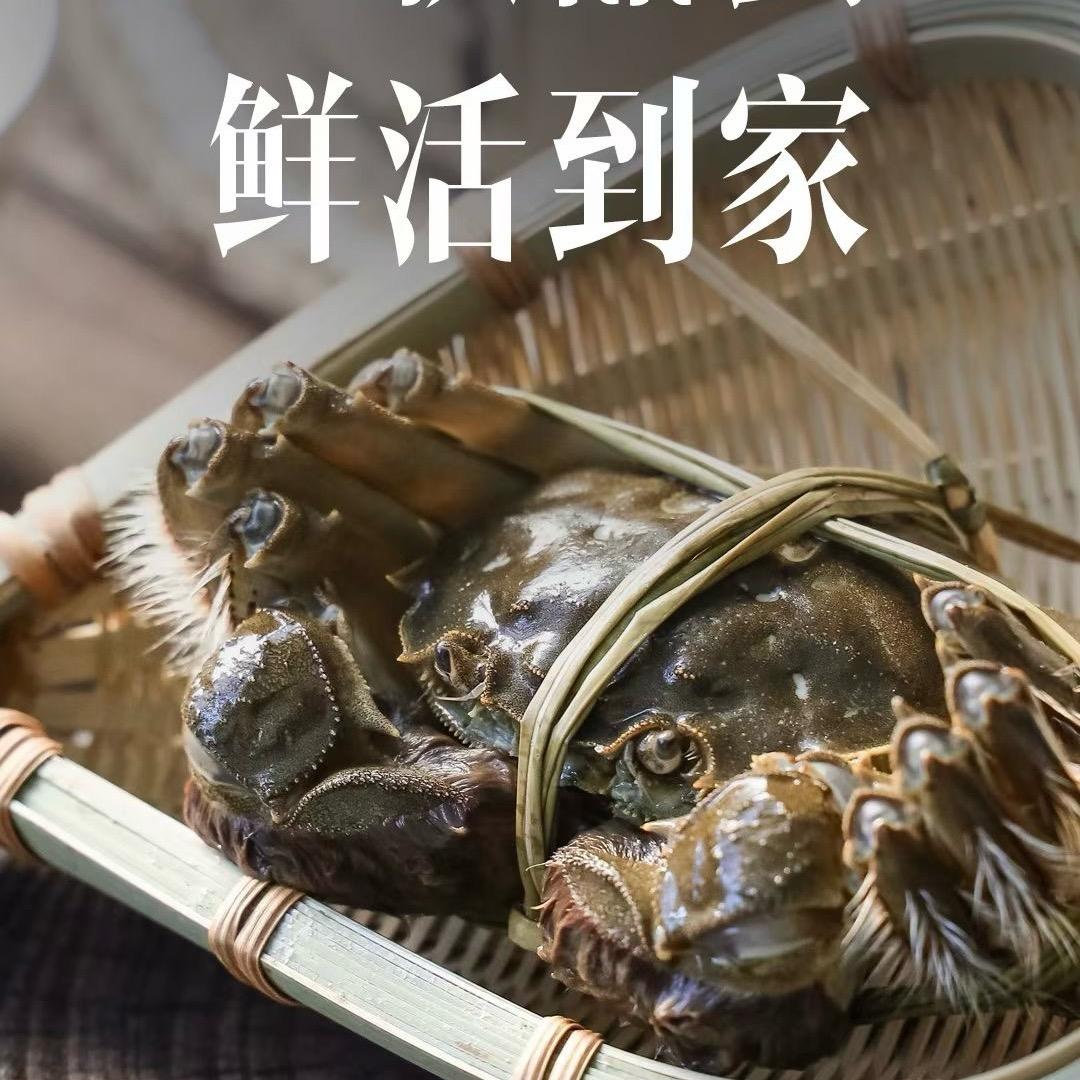 苏蟹明日达