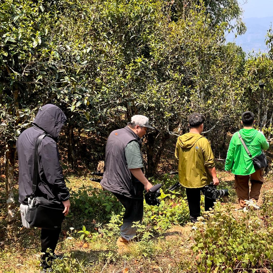 《茶中国》摄制组