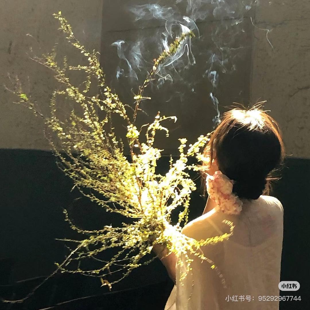 长沙·仟仟花朵