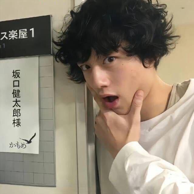 亚里士多德.