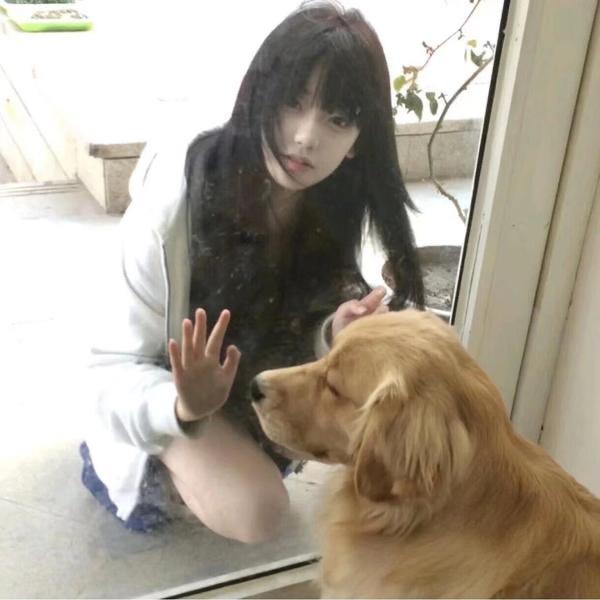 系窝🤨