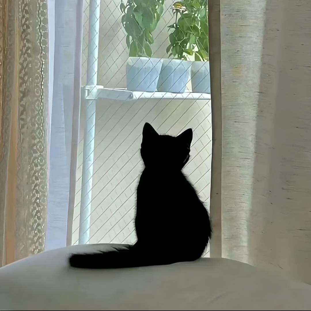 矿泉水瓶.