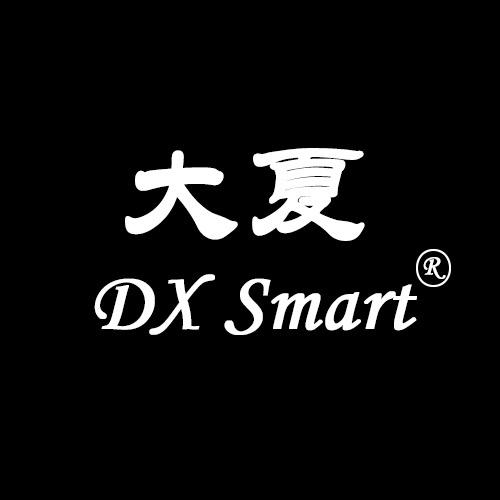 DX smart饰品旗舰店