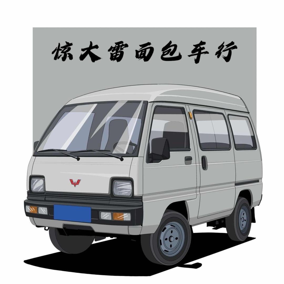 武汉惊大雷面包车行