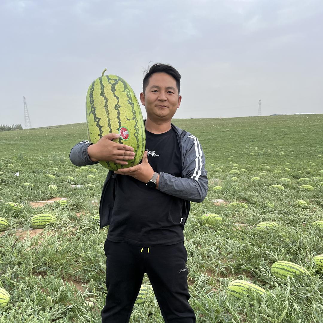 阿伟农蔬优选