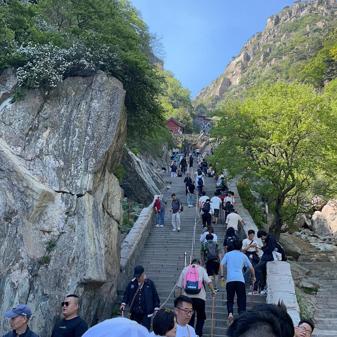 🌈🐮黄牛骑牧童