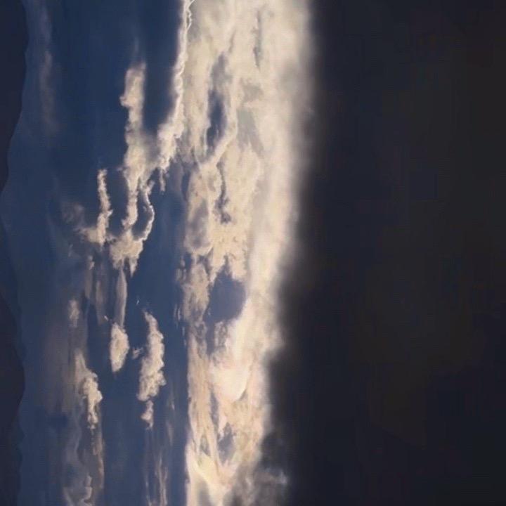 天天高