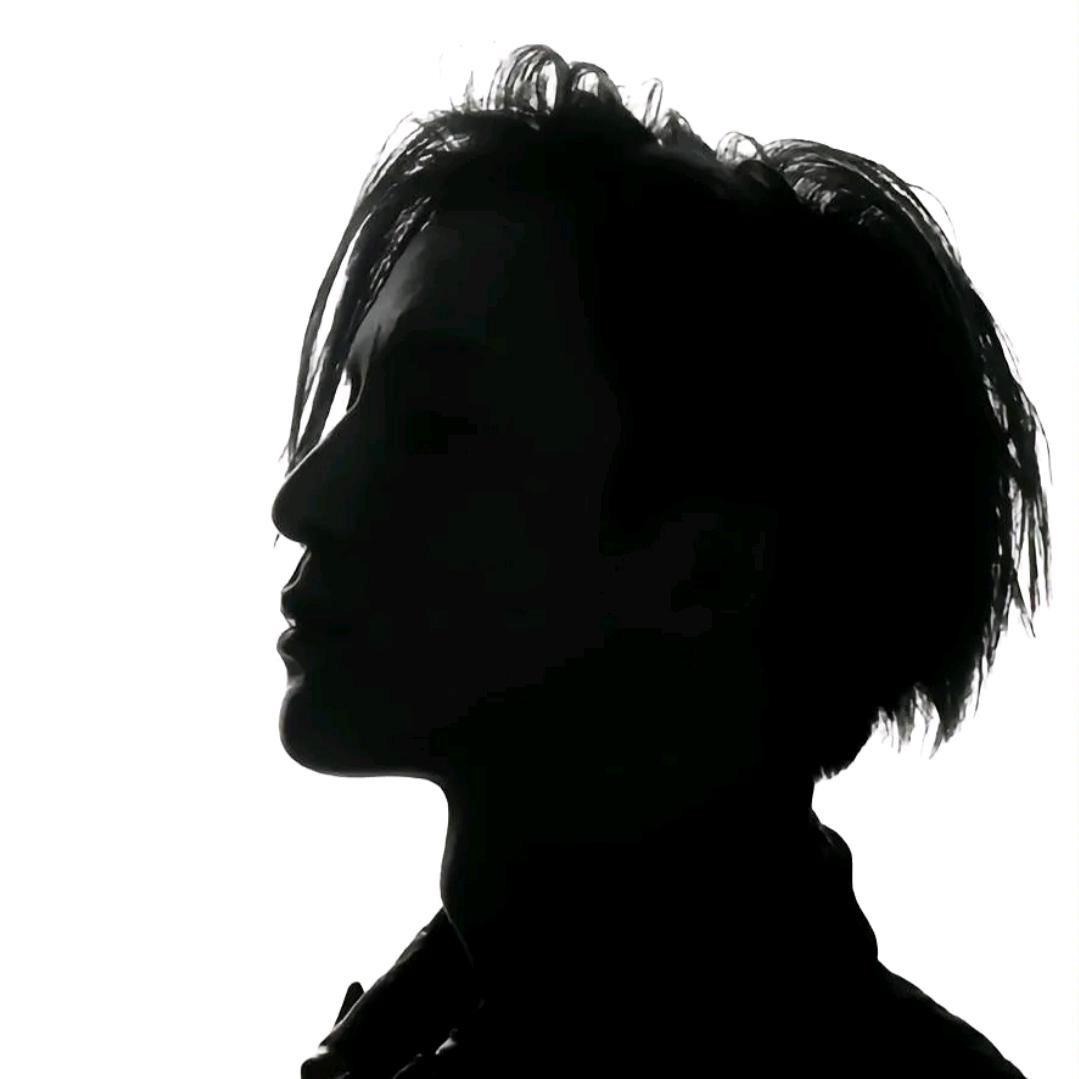 刺Gemini