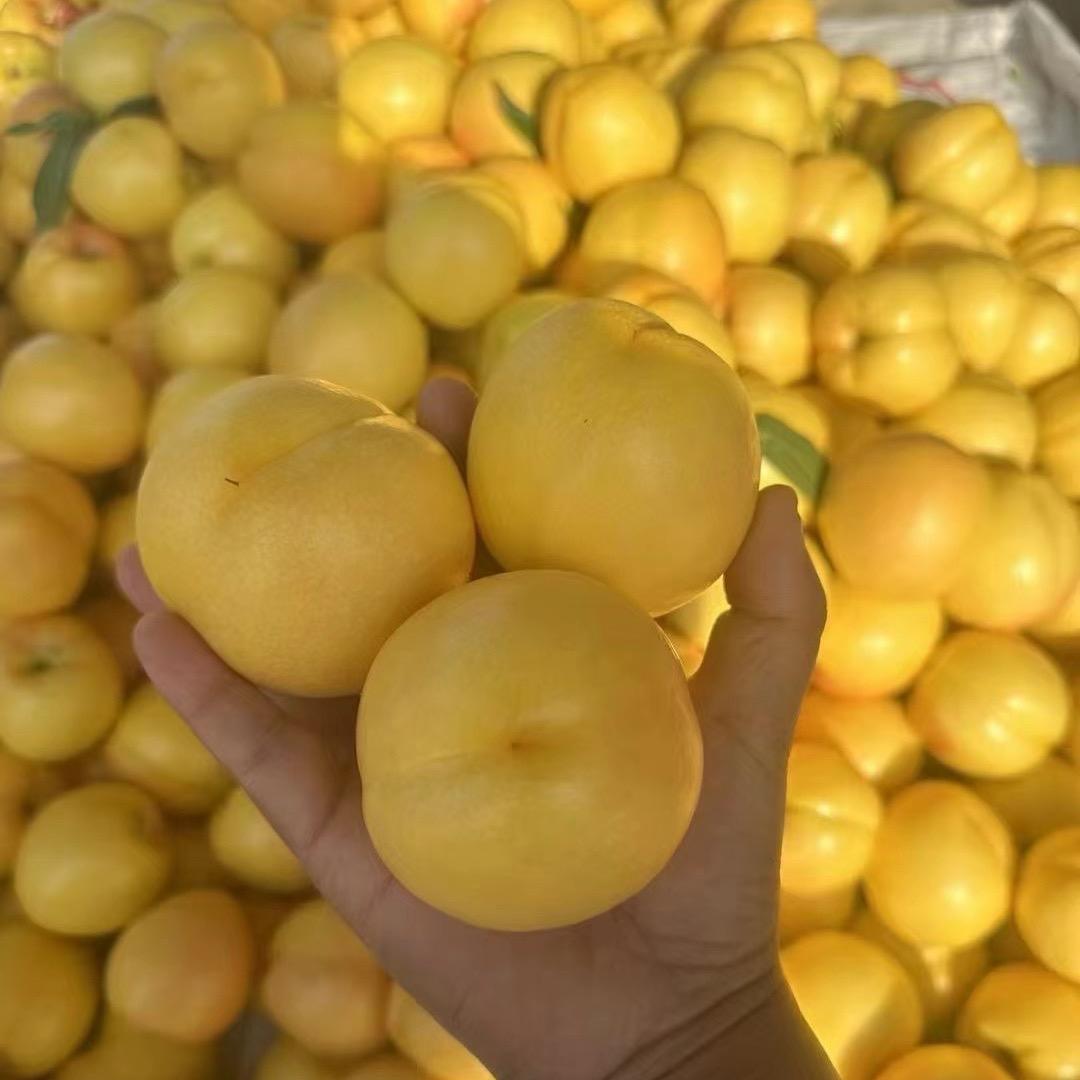 風生水起