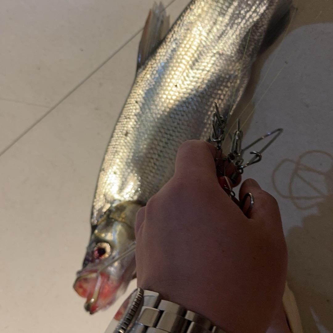 零零后的日常生活