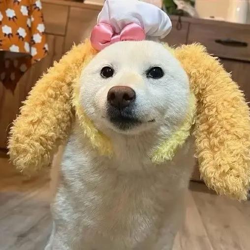 我的眼睛像绿豆