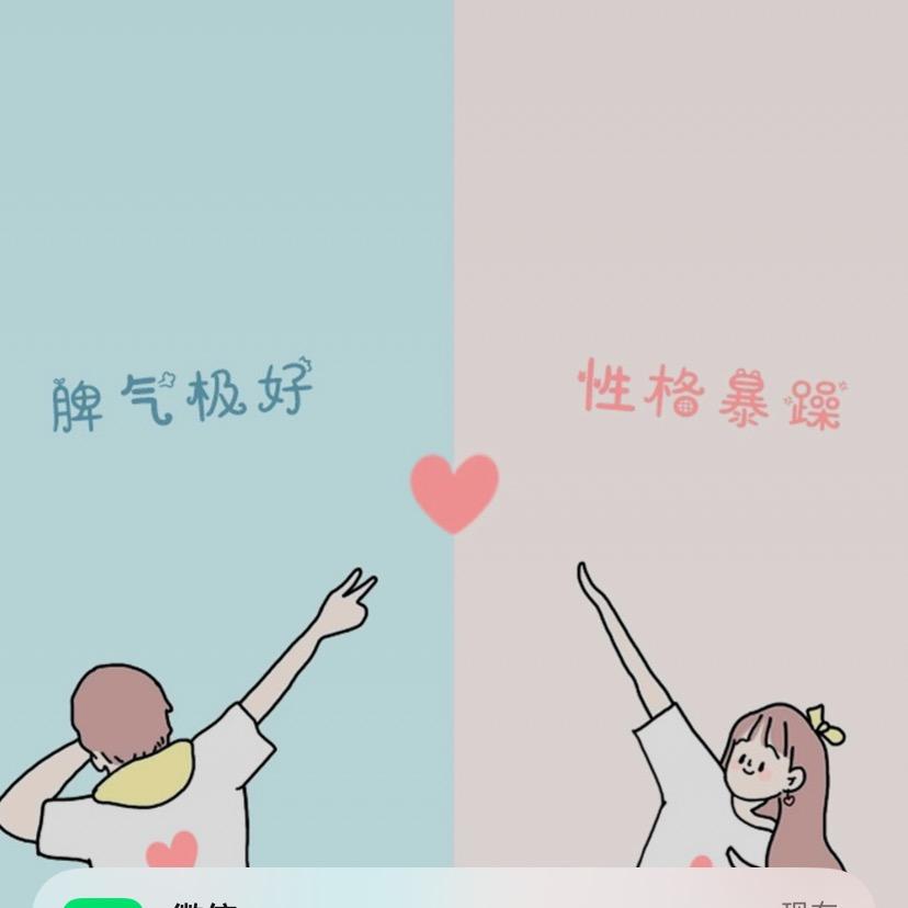 轩宝