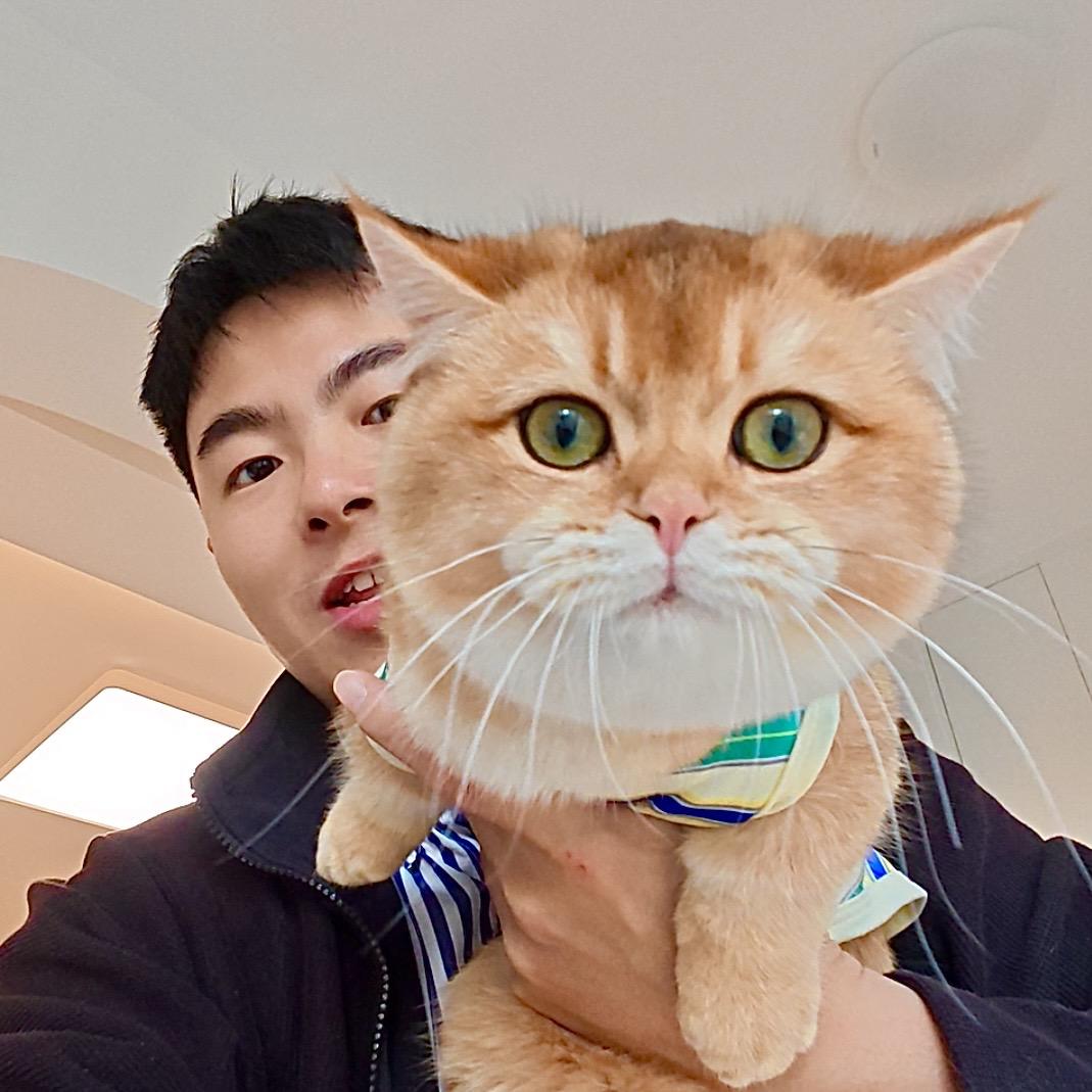 无极豪（养猫版）