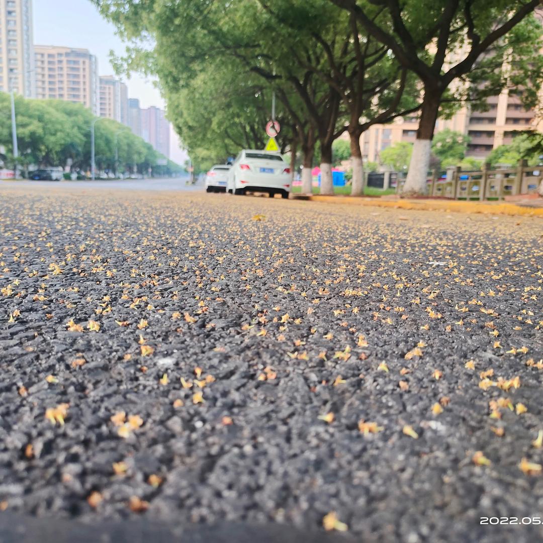 爱理财的小邹