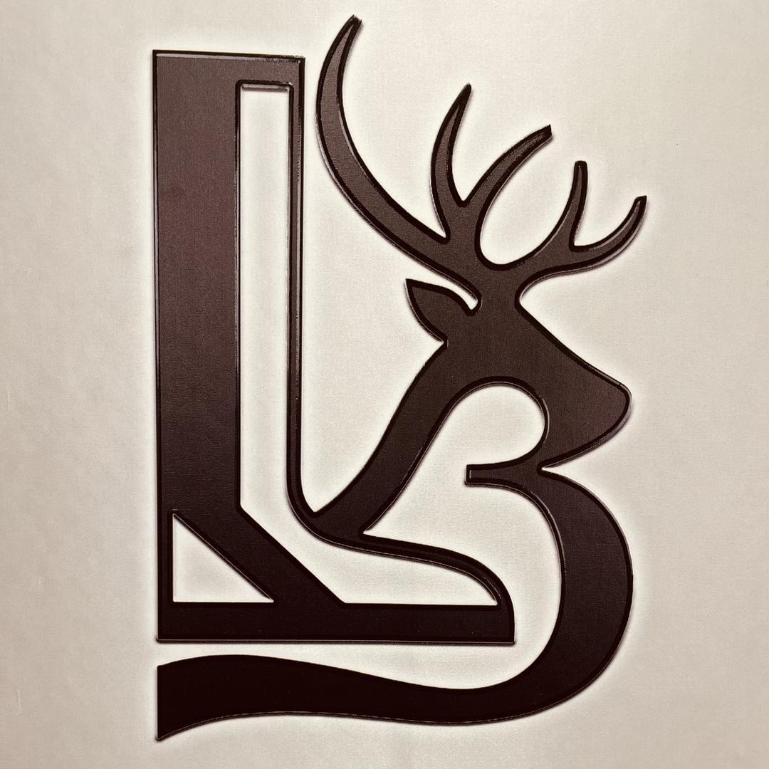 鹿彪时尚轻奢潮鞋