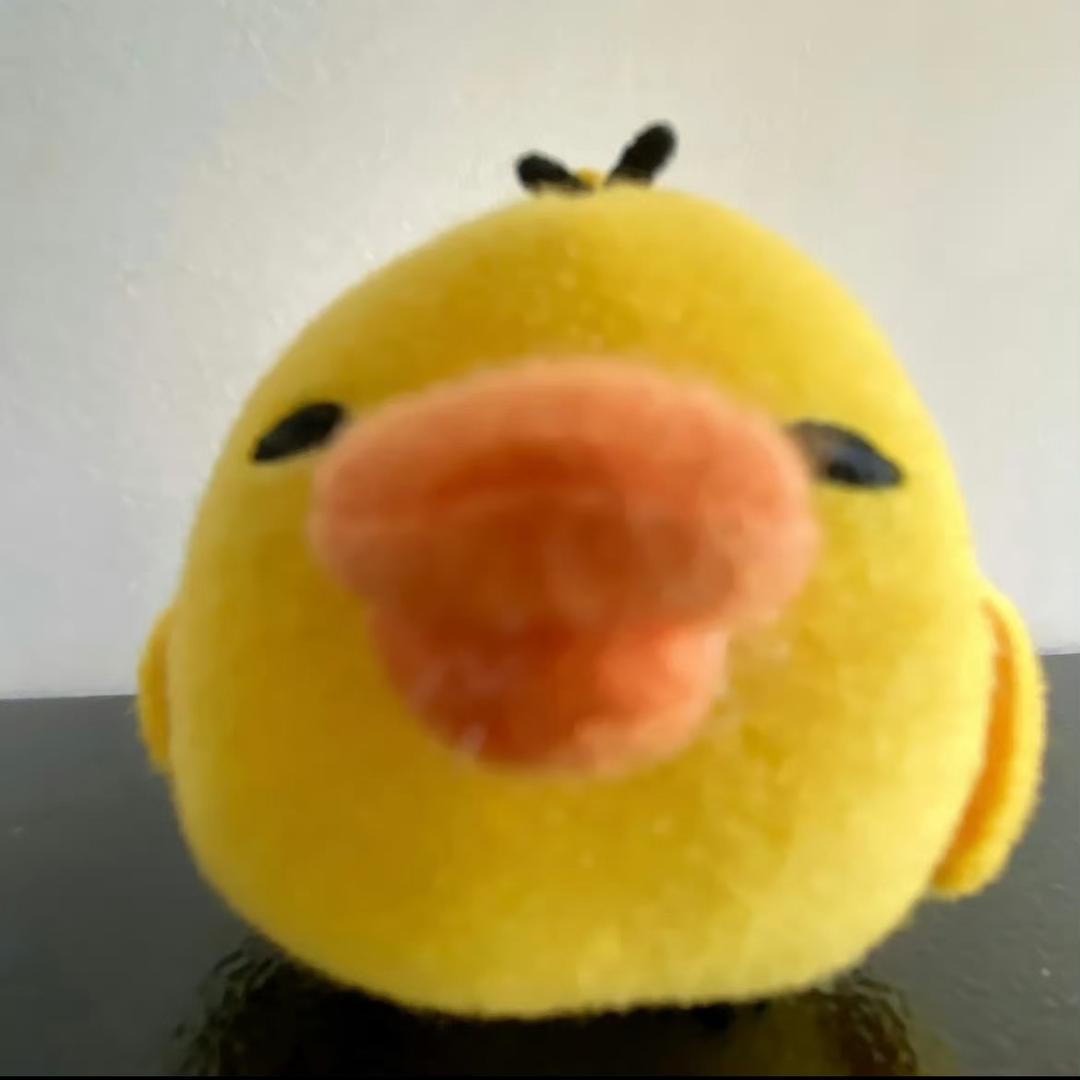 我要蛋蛋的