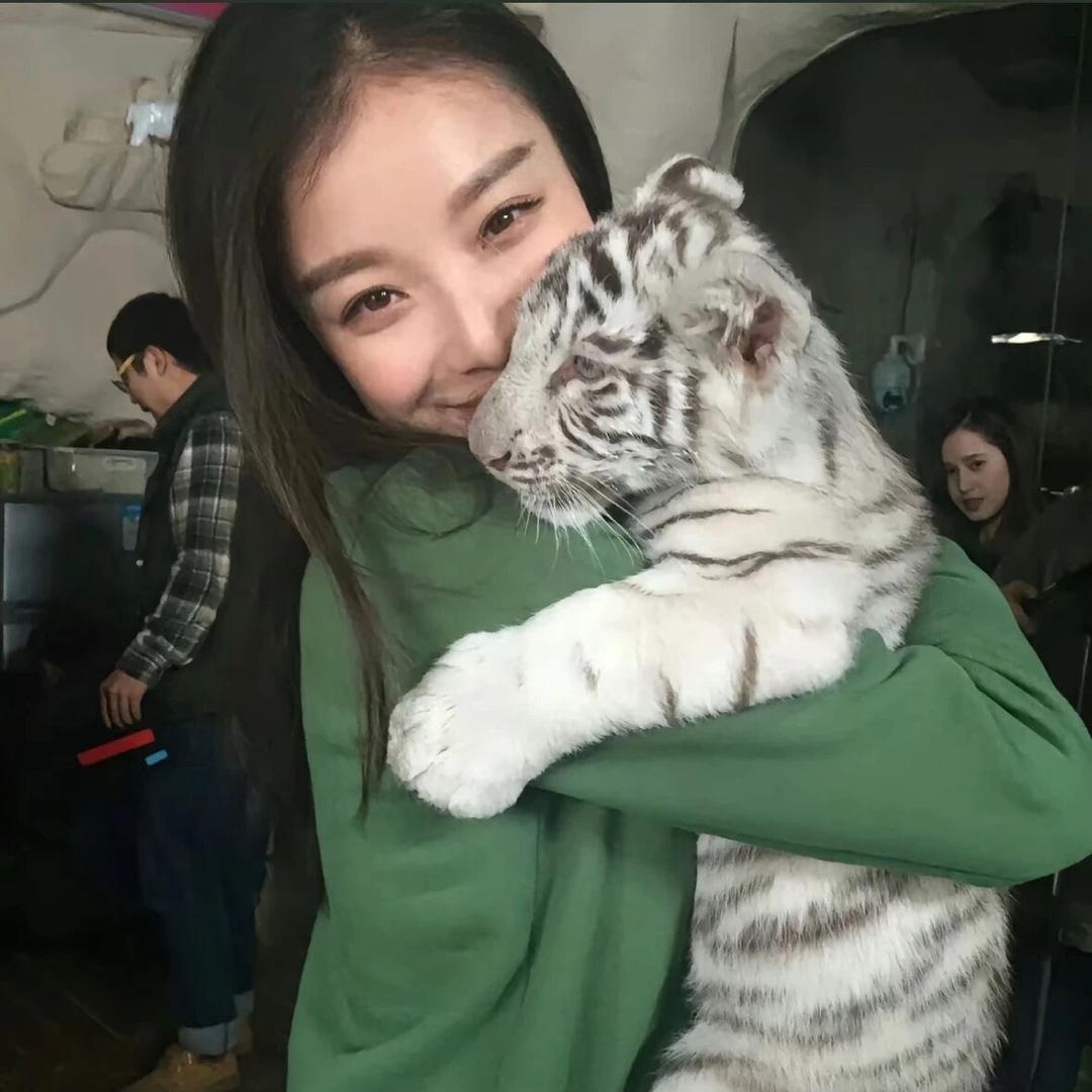 羊66·