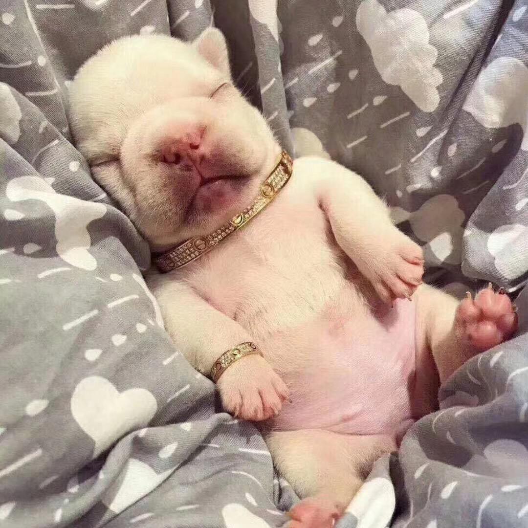 刺眼🌻