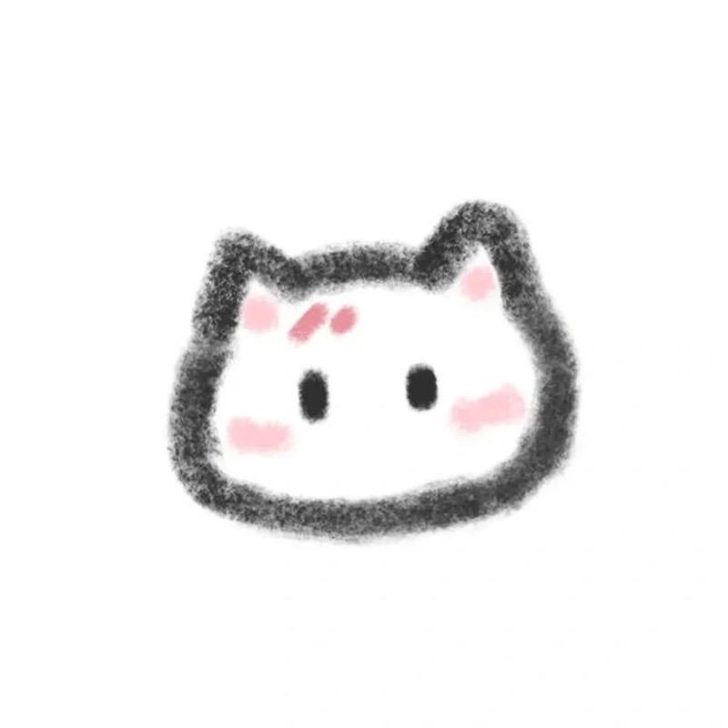 猫老板