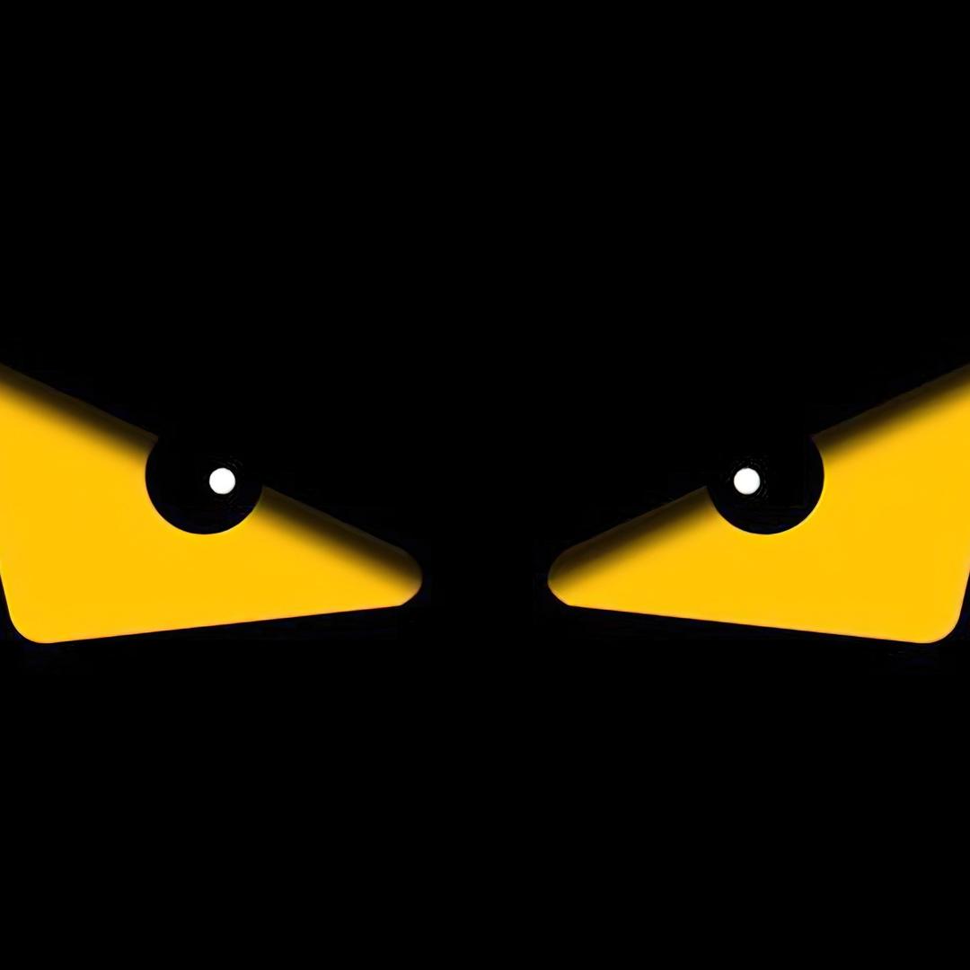 爱打篮球的小菜鸡