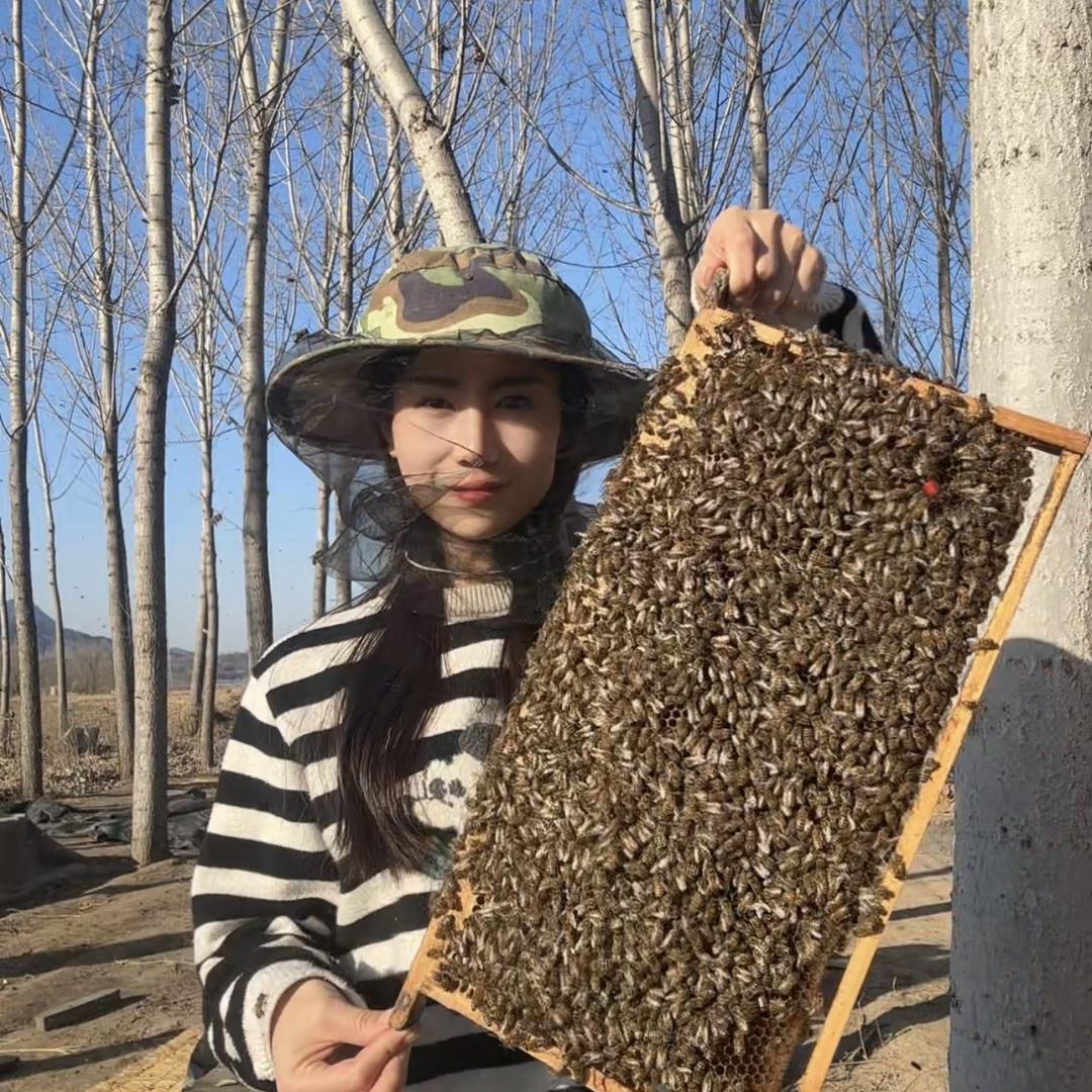 弄蜂小妹