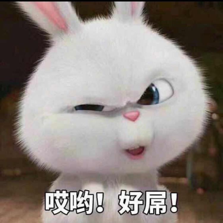 菜菜的大米