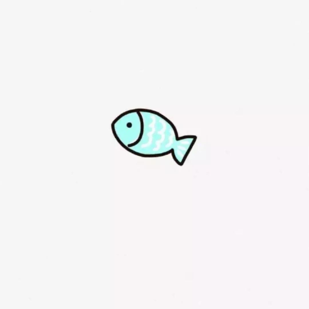 睡不醒的小鱼