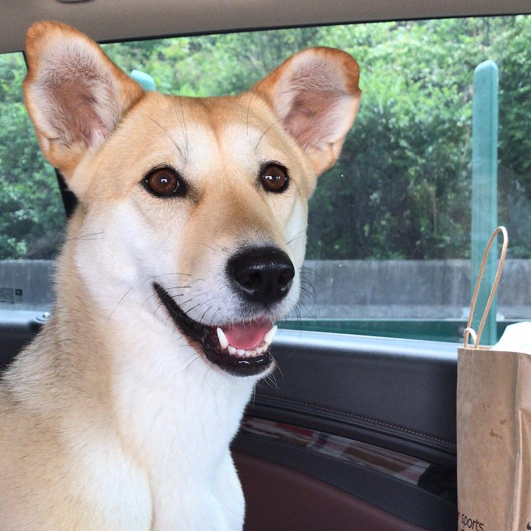 小熊熊