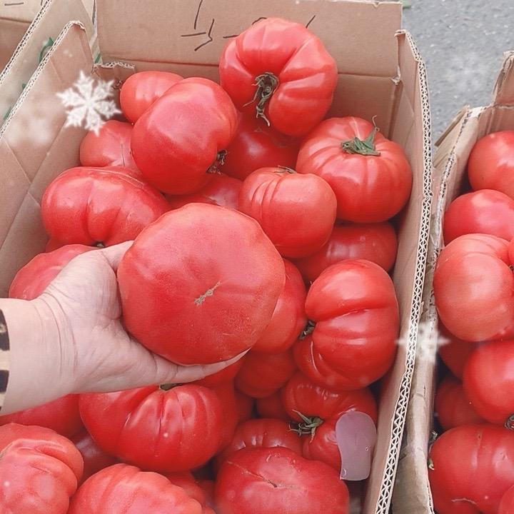 普罗旺斯番茄🍅