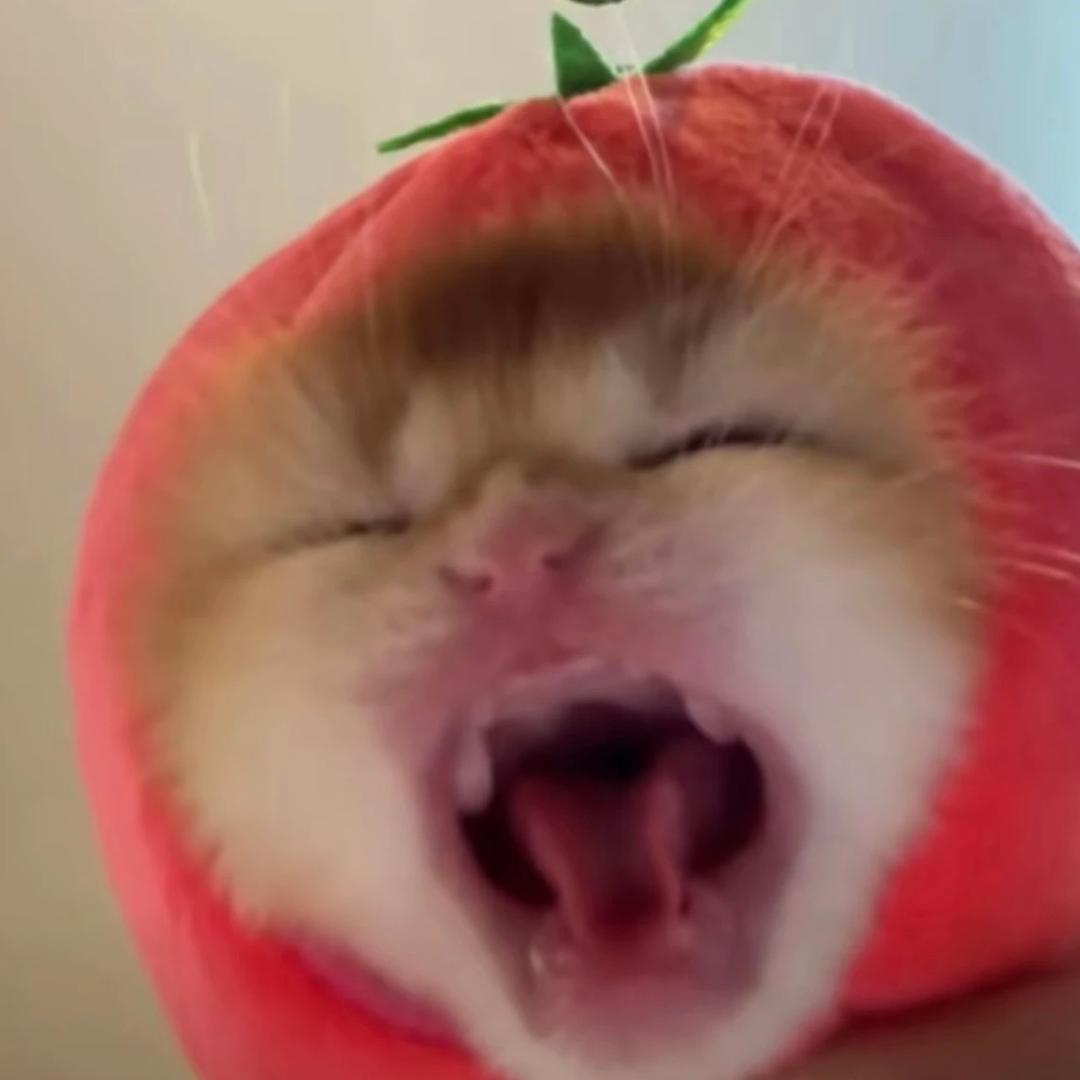 咪咪条