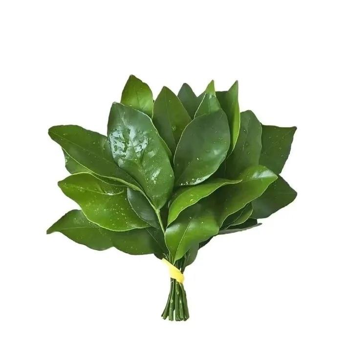 拙趣坊 IDY 严选