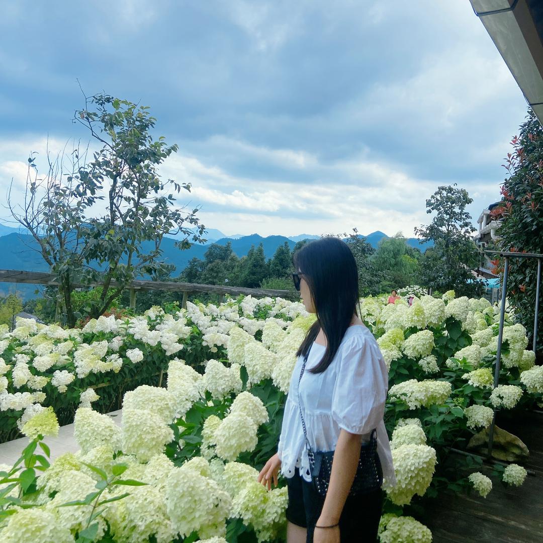 枫叶🍁