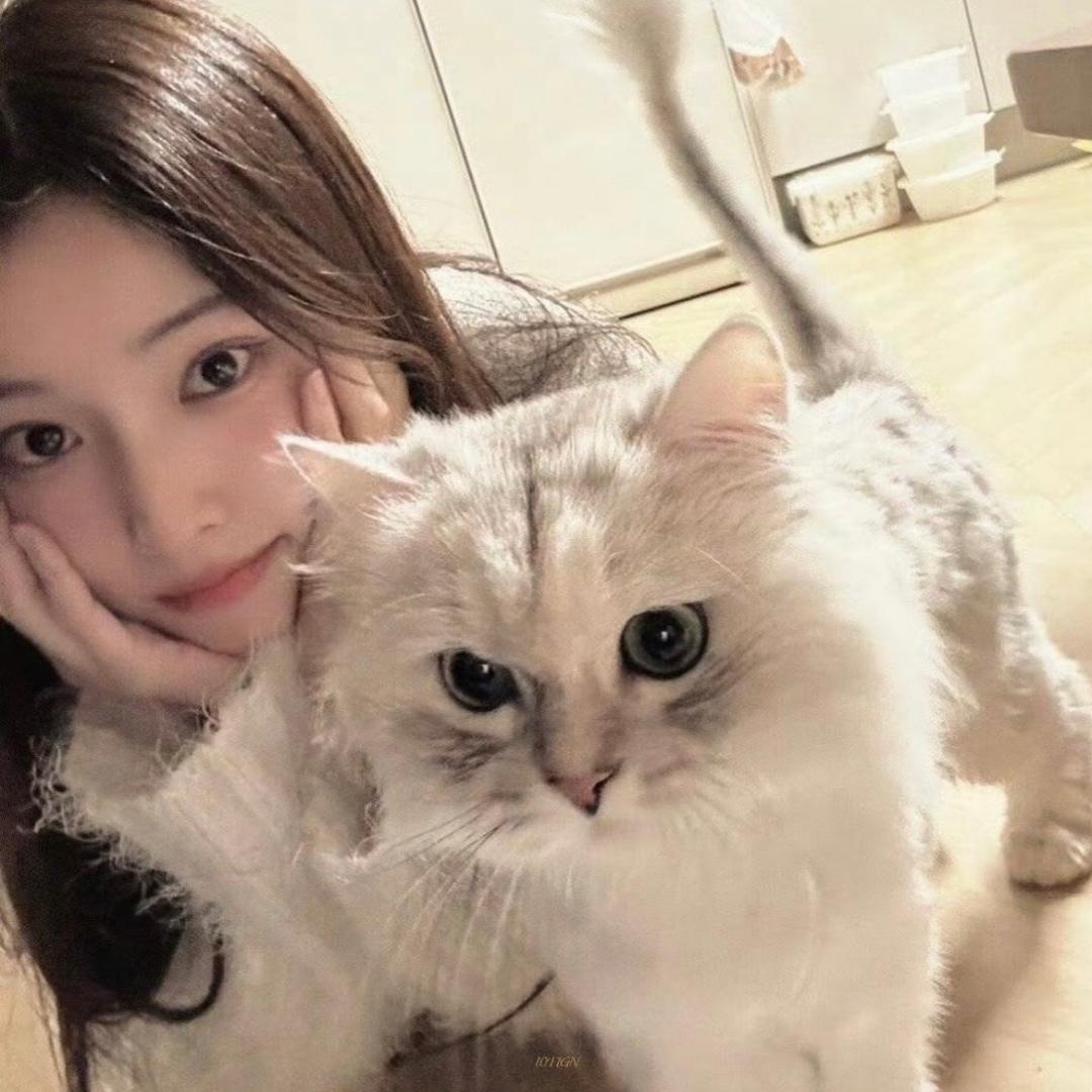 猫猫🐈‍⬛