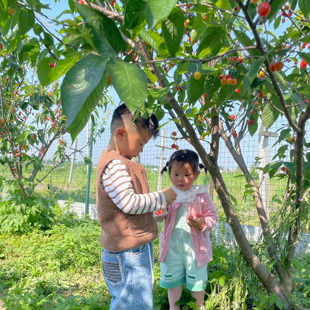 姝予的果园～🍑