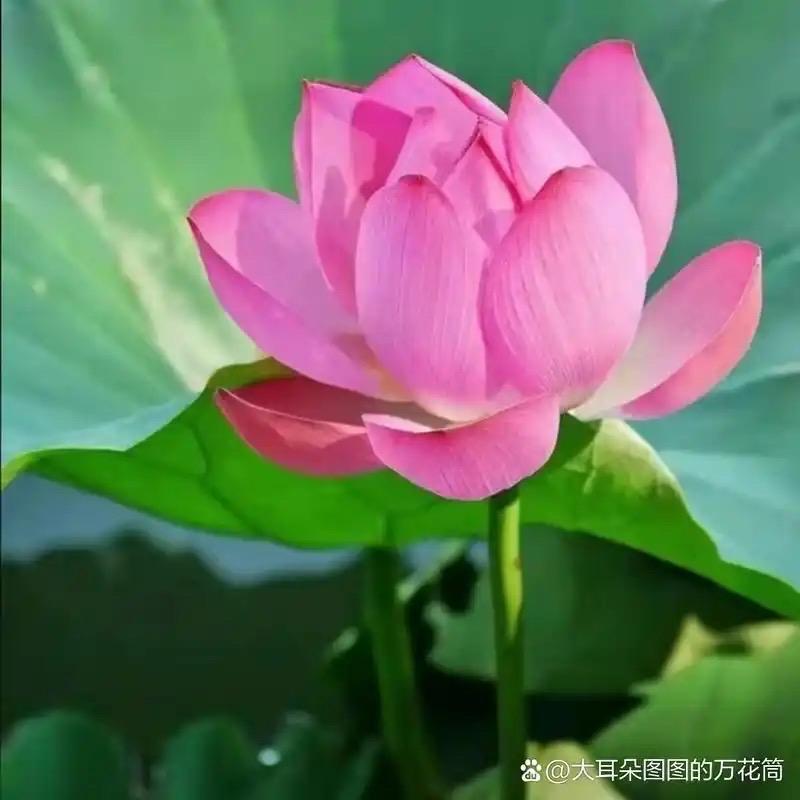 低调奢华有内涵
