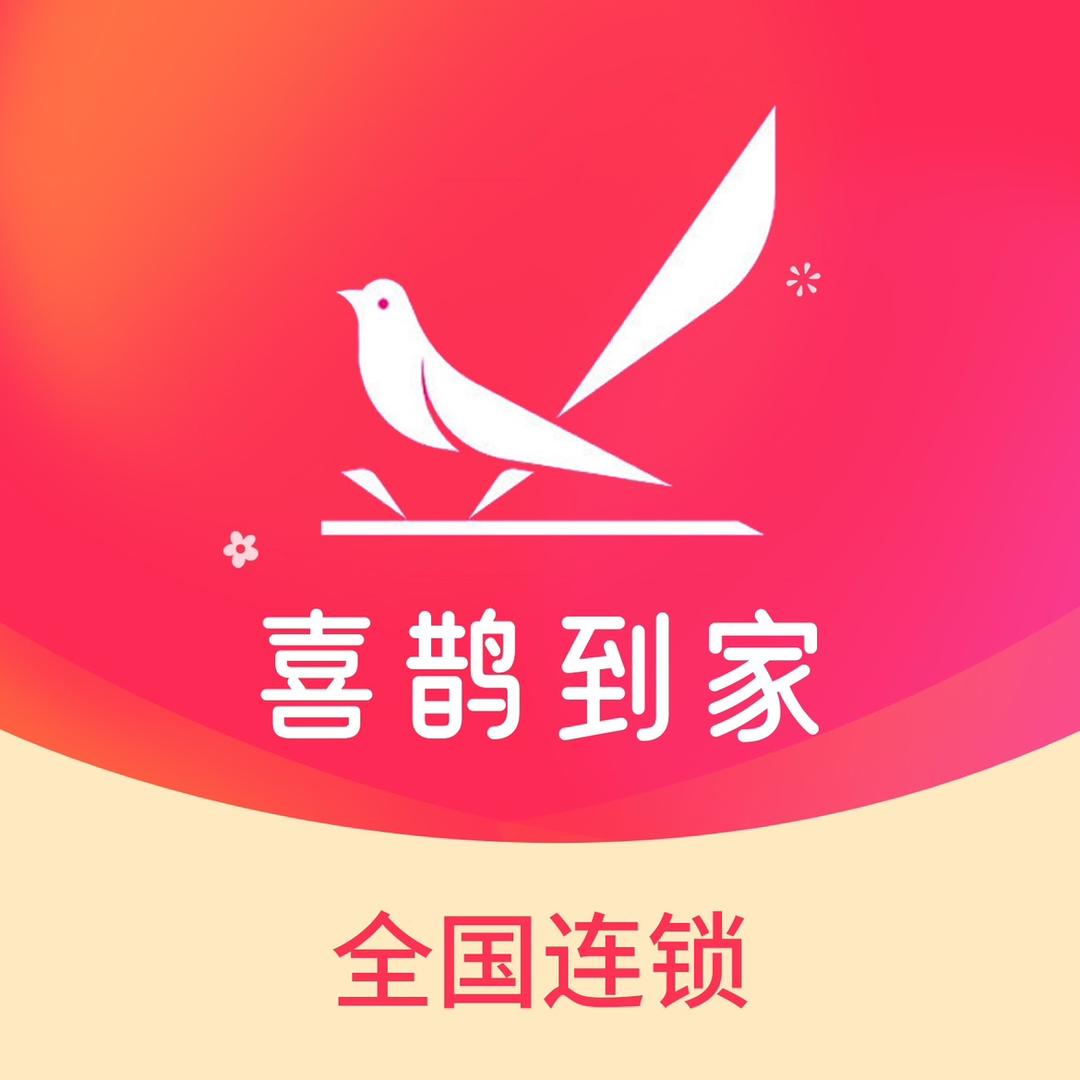 喜鹊到家家政