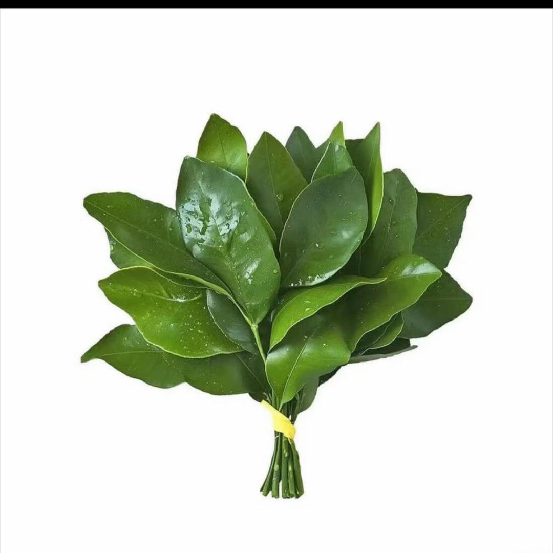 lucky莲莲（抑郁版）