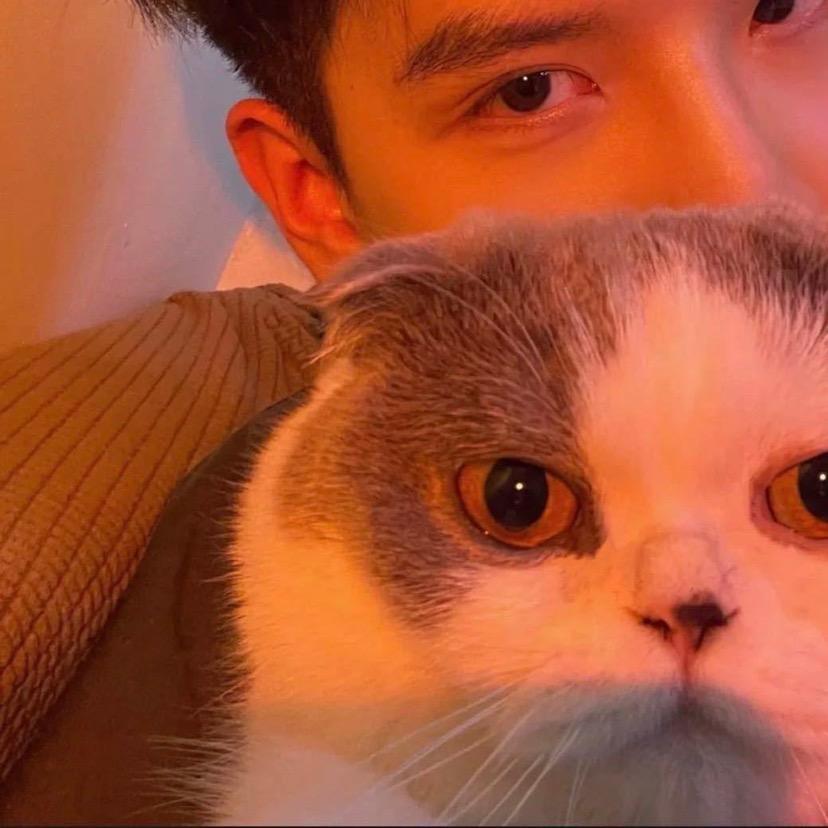 雷霆无敌酷炫狂拽霸王龙