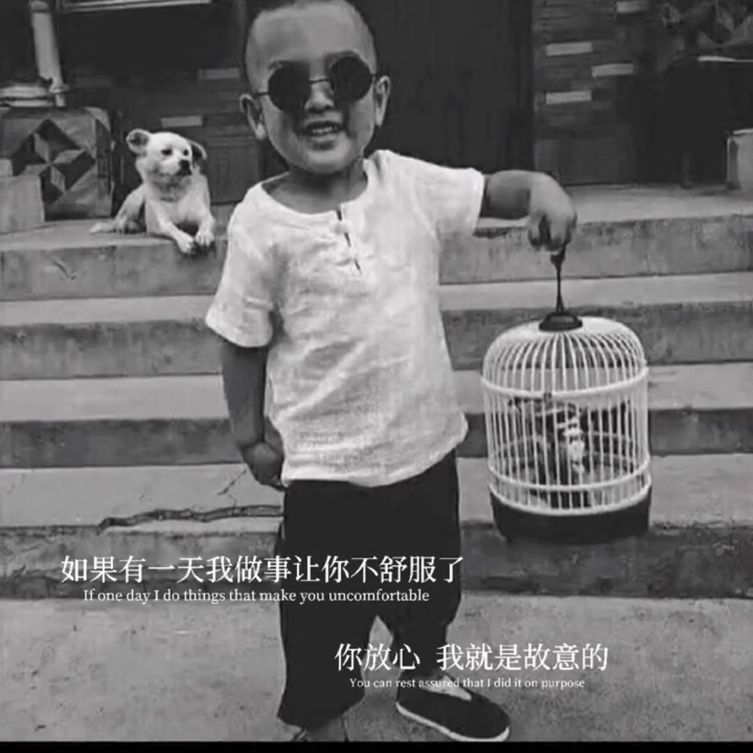 有🐟自远方来