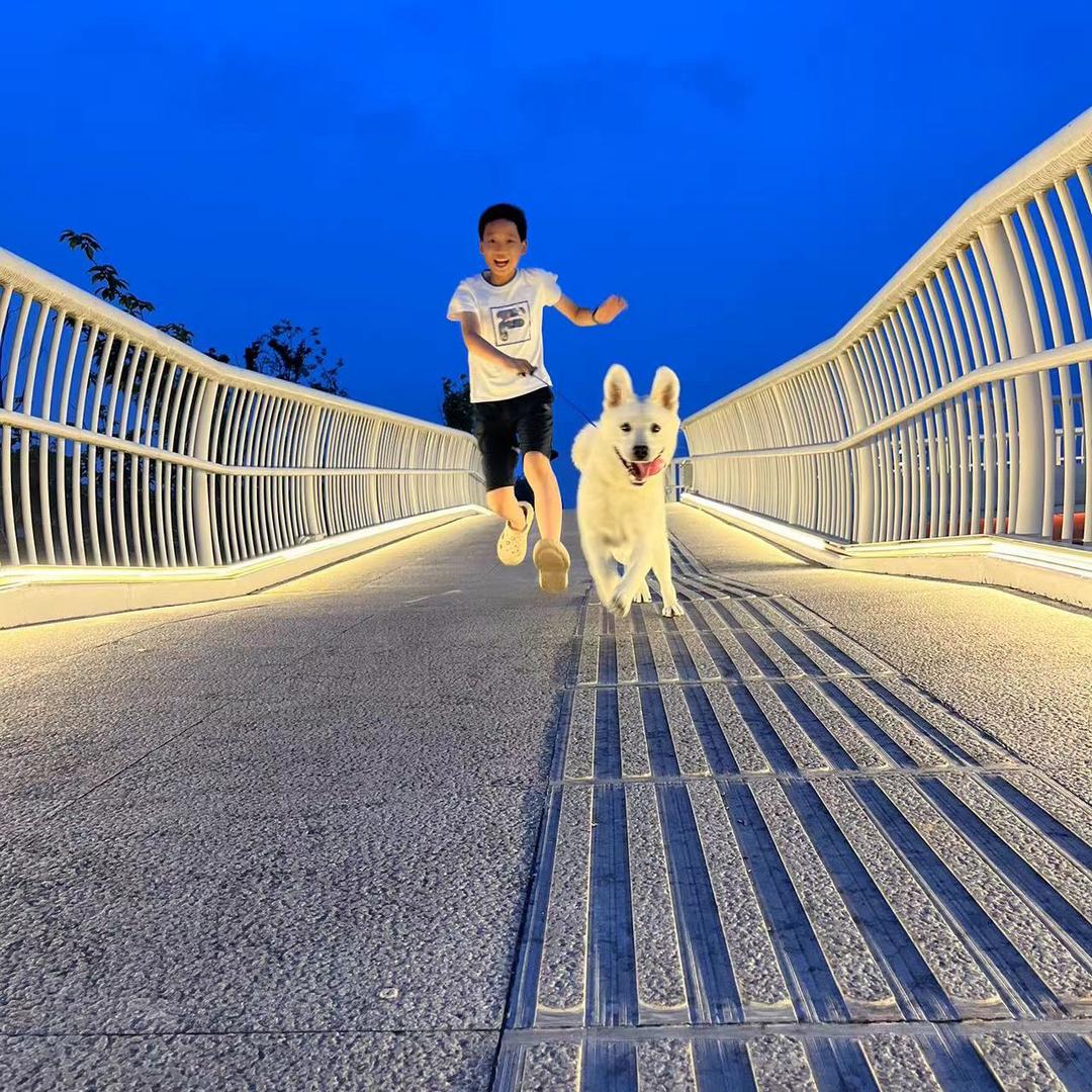 爱唱歌的挖机哥