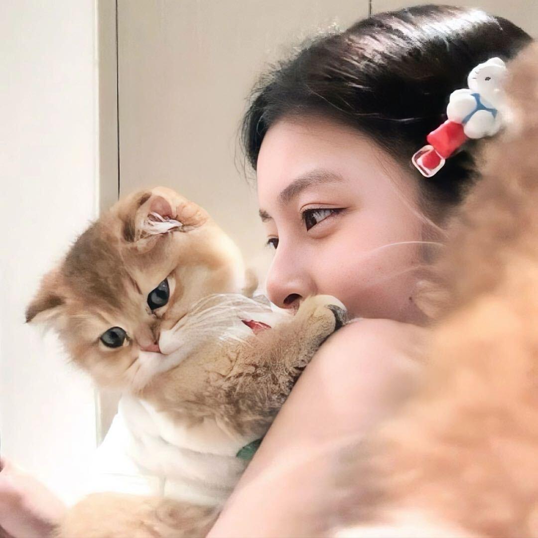 蒋蒋