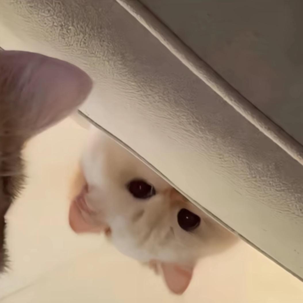 电子版的痛苦