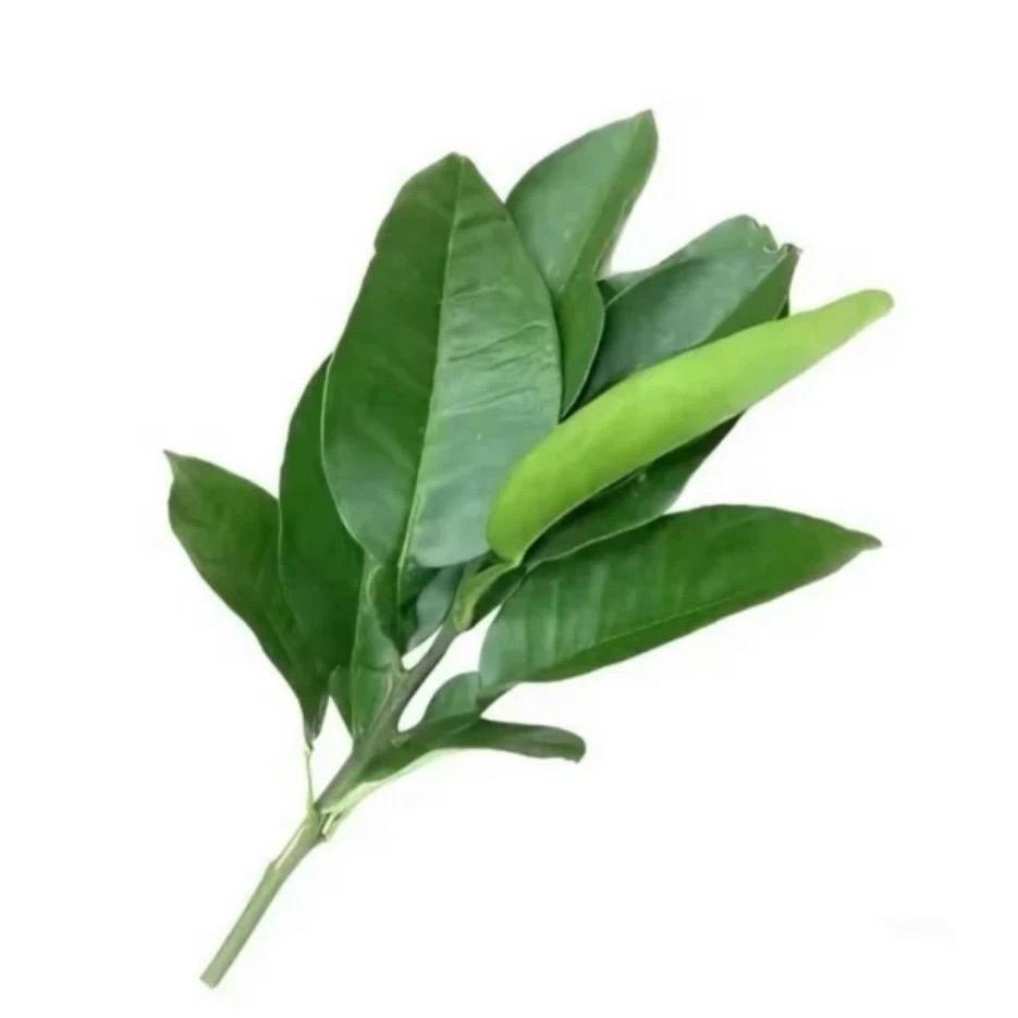 小李吖（见过陶喆版）