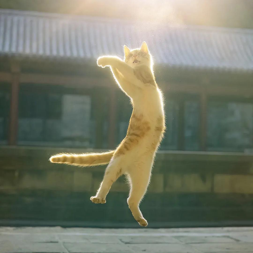 去二仙桥走哪根道