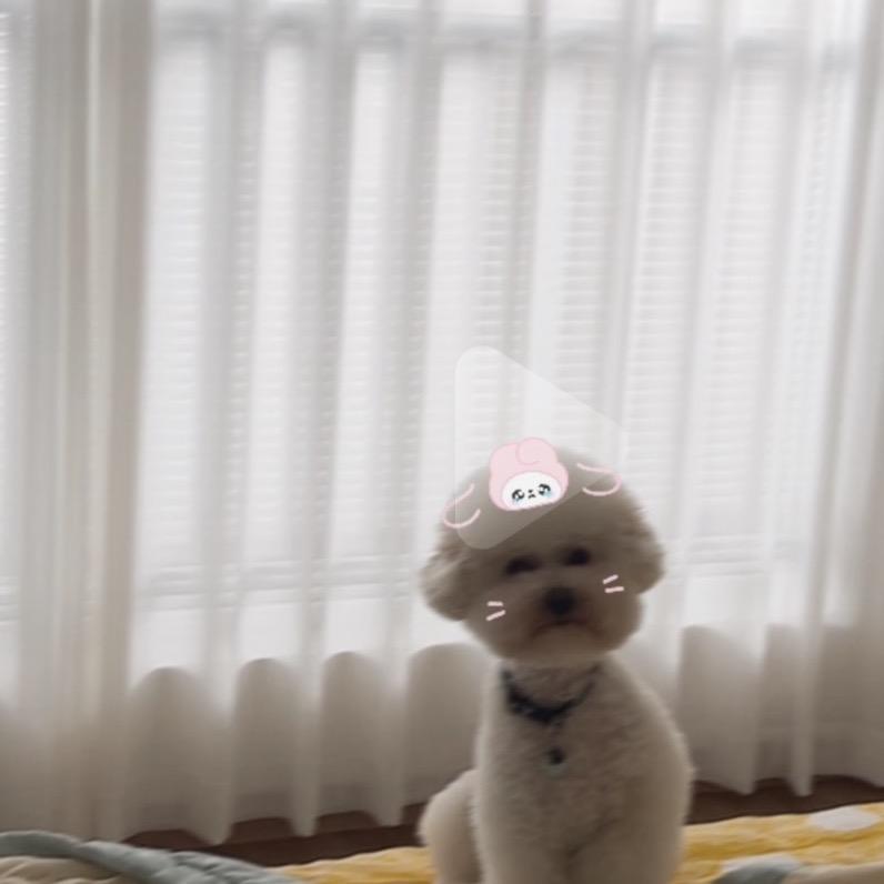 一朵欧欧