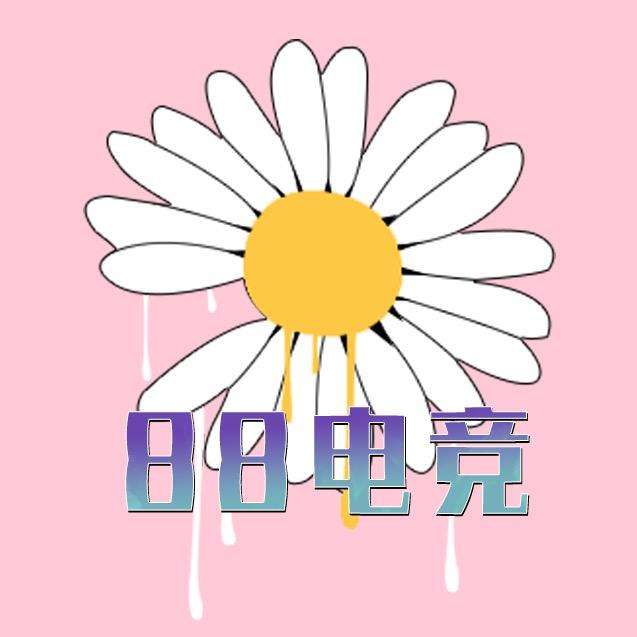 88 电竞(208/1000w)