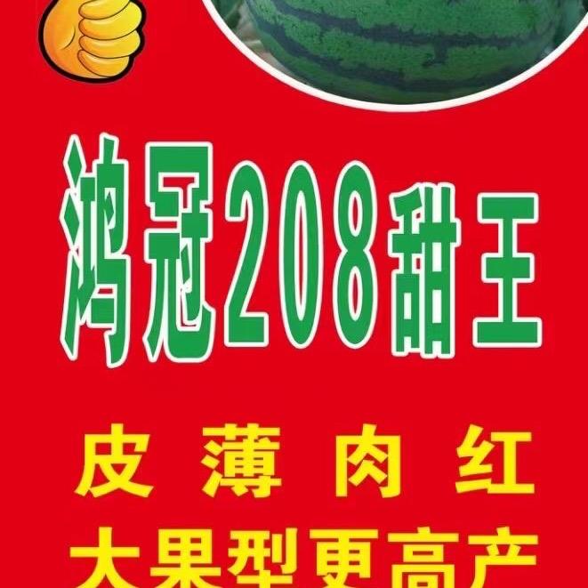 甜王、礼品瓜果蔬购销