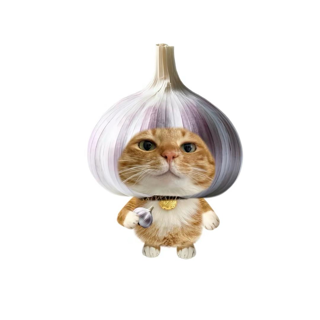 ㅤㅤㅤㅤㅤㅤㅤㅤㅤㅤ ㅤㅤㅤㅤㅤㅤㅤㅤㅤ