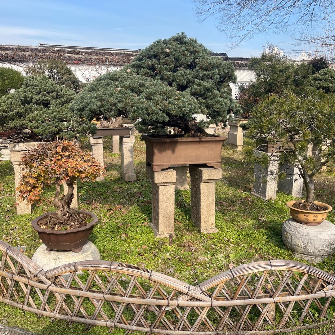 辉哲